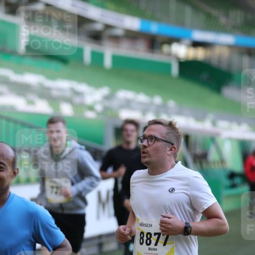 06.10.2024 - 19. swb-Marathon Bremen Yannick Fuchs http://msf.ph/oto/7448764 06.10.2024 10:28:26 Laufen im Stadion 7025, 7041, 7086, 7094, 7095, 7195, 7216, 7217, 7218, 7303, 7364, 7402, 7464, 7501, 7511, 7526, 7538, 7541, 7568, 7569, 7697, 7897, 7965, 8067, 8173, 8261, 8288, 8323, 8334, 8374, 8403, 8405, 8411, 8456, 8488, 8498, 8526, 8551, 8569, 8711, 8716, 8833, 8877, 8891, 8966, 8968, 8991, 9040, 9060 meine-sportfotos.de