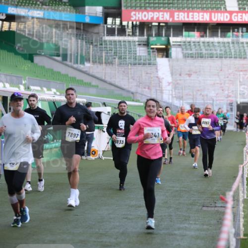 06.10.2024 - 19. swb-Marathon Bremen Yannick Fuchs http://msf.ph/oto/7448784 06.10.2024 10:28:30 Laufen im Stadion 7025, 7041, 7086, 7094, 7095, 7195, 7216, 7217, 7218, 7364, 7402, 7464, 7501, 7511, 7521, 7526, 7538, 7541, 7568, 7569, 7697, 7827, 7897, 7965, 8067, 8173, 8251, 8261, 8323, 8334, 8374, 8403, 8405, 8411, 8456, 8488, 8498, 8526, 8551, 8569, 8711, 8833, 8877, 8891, 8966, 8968, 8991, 9040, 9060 meine-sportfotos.de