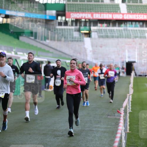 06.10.2024 - 19. swb-Marathon Bremen Yannick Fuchs http://msf.ph/oto/7448786 06.10.2024 10:28:30 Laufen im Stadion 7025, 7041, 7086, 7094, 7095, 7195, 7216, 7217, 7218, 7364, 7402, 7464, 7501, 7511, 7521, 7526, 7538, 7541, 7568, 7569, 7697, 7827, 7897, 7965, 8067, 8173, 8251, 8261, 8323, 8334, 8374, 8403, 8405, 8411, 8456, 8488, 8498, 8526, 8551, 8569, 8711, 8833, 8877, 8891, 8966, 8968, 8991, 9040, 9060 meine-sportfotos.de
