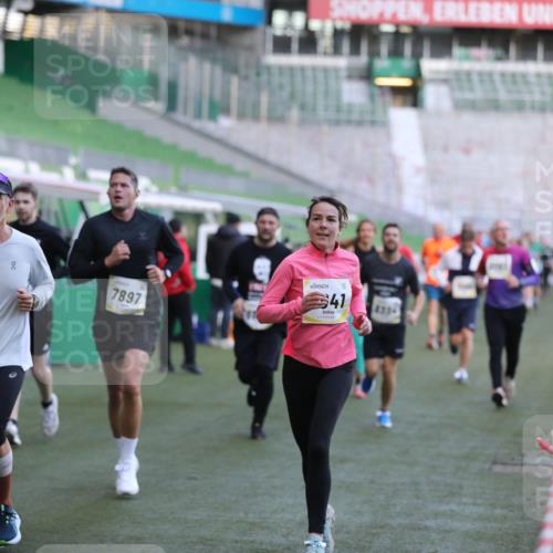 06.10.2024 - 19. swb-Marathon Bremen Yannick Fuchs http://msf.ph/oto/7448788 06.10.2024 10:28:31 Laufen im Stadion 7025, 7041, 7086, 7094, 7095, 7195, 7216, 7217, 7218, 7364, 7402, 7464, 7501, 7511, 7521, 7526, 7538, 7541, 7568, 7569, 7697, 7827, 7897, 7940, 7965, 8067, 8173, 8251, 8261, 8323, 8334, 8374, 8403, 8405, 8411, 8456, 8488, 8498, 8526, 8551, 8566, 8569, 8711, 8833, 8877, 8891, 8966, 8968, 8990, 8991, 9040, 9060 meine-sportfotos.de
