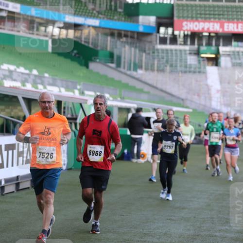 06.10.2024 - 19. swb-Marathon Bremen Yannick Fuchs http://msf.ph/oto/7448814 06.10.2024 10:28:39 Laufen im Stadion 7025, 7041, 7086, 7195, 7216, 7217, 7218, 7296, 7402, 7501, 7511, 7521, 7526, 7538, 7541, 7568, 7569, 7697, 7776, 7827, 7897, 7940, 7965, 8067, 8251, 8261, 8306, 8323, 8334, 8374, 8411, 8419, 8488, 8498, 8526, 8536, 8551, 8566, 8569, 8665, 8833, 8877, 8891, 8966, 8968, 8990, 8991, 9038, 9040, 9060, 9080 meine-sportfotos.de