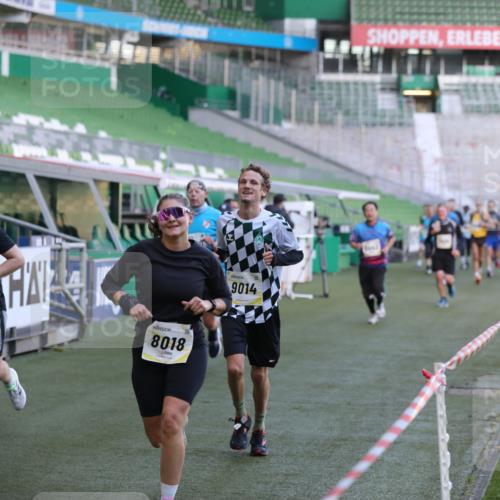 06.10.2024 - 19. swb-Marathon Bremen Yannick Fuchs http://msf.ph/oto/7448843 06.10.2024 10:29:00 Laufen im Stadion 7041, 7086, 7099, 7218, 7290, 7296, 7511, 7521, 7526, 7590, 7671, 7683, 7697, 7776, 7825, 7827, 7897, 7940, 8018, 8067, 8157, 8158, 8244, 8251, 8252, 8306, 8323, 8334, 8336, 8419, 8443, 8461, 8488, 8536, 8566, 8596, 8604, 8665, 8819, 8828, 8833, 8843, 8894, 8965, 8968, 8990, 8991, 9014, 9038, 9080, 9106 meine-sportfotos.de
