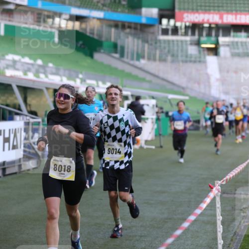 06.10.2024 - 19. swb-Marathon Bremen Yannick Fuchs http://msf.ph/oto/7448845 06.10.2024 10:29:00 Laufen im Stadion 7041, 7086, 7099, 7218, 7290, 7296, 7511, 7521, 7526, 7590, 7671, 7683, 7697, 7776, 7825, 7827, 7897, 7940, 8018, 8067, 8157, 8158, 8244, 8251, 8252, 8306, 8323, 8334, 8336, 8419, 8443, 8461, 8488, 8536, 8566, 8596, 8604, 8665, 8819, 8828, 8833, 8843, 8894, 8965, 8968, 8990, 8991, 9014, 9038, 9080, 9106 meine-sportfotos.de