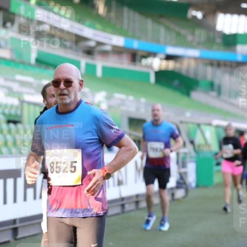 06.10.2024 - 19. swb-Marathon Bremen Yannick Fuchs http://msf.ph/oto/7448899 06.10.2024 10:29:25 Laufen im Stadion 7099, 7117, 7290, 7334, 7370, 7590, 7671, 7683, 7714, 7800, 7825, 7983, 7992, 8001, 8018, 8092, 8098, 8156, 8157, 8158, 8215, 8244, 8252, 8330, 8336, 8424, 8443, 8458, 8461, 8522, 8525, 8575, 8596, 8604, 8609, 8819, 8828, 8835, 8843, 8875, 8894, 8925, 8951, 8953, 8965, 9001, 9014, 9066, 9106 meine-sportfotos.de