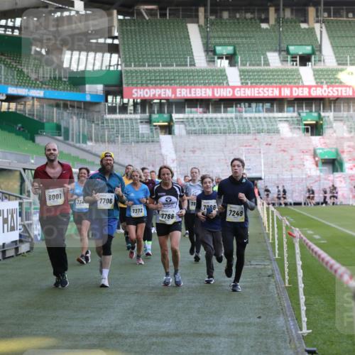 06.10.2024 - 19. swb-Marathon Bremen Yannick Fuchs http://msf.ph/oto/7448972 06.10.2024 10:29:41 Laufen im Stadion 7060, 7061, 7066, 7117, 7193, 7194, 7334, 7340, 7370, 7372, 7384, 7451, 7542, 7683, 7696, 7706, 7714, 7768, 7784, 7800, 7823, 7870, 7931, 7983, 7989, 7992, 8001, 8092, 8098, 8156, 8157, 8158, 8215, 8252, 8330, 8362, 8424, 8458, 8461, 8522, 8525, 8570, 8575, 8596, 8604, 8609, 8763, 8767, 8828, 8835, 8854, 8875, 8894, 8925, 8951, 8953, 8954, 9001, 9066, 9106 meine-sportfotos.de
