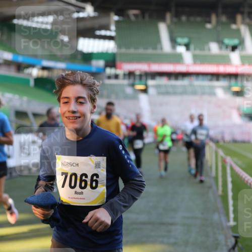 06.10.2024 - 19. swb-Marathon Bremen Yannick Fuchs http://msf.ph/oto/7448993 06.10.2024 10:29:46 Laufen im Stadion 7060, 7061, 7066, 7117, 7146, 7193, 7194, 7334, 7340, 7370, 7372, 7384, 7451, 7542, 7620, 7696, 7706, 7714, 7768, 7784, 7800, 7823, 7870, 7931, 7983, 7989, 7992, 8001, 8092, 8098, 8156, 8215, 8330, 8362, 8424, 8458, 8522, 8525, 8570, 8575, 8609, 8629, 8763, 8767, 8768, 8835, 8854, 8869, 8875, 8925, 8951, 8953, 8954, 9001, 9066 meine-sportfotos.de