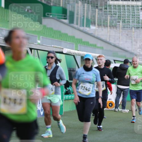 06.10.2024 - 19. swb-Marathon Bremen Yannick Fuchs http://msf.ph/oto/7449022 06.10.2024 10:29:56 Laufen im Stadion 7060, 7061, 7066, 7117, 7146, 7176, 7193, 7194, 7334, 7340, 7361, 7372, 7384, 7412, 7451, 7542, 7620, 7629, 7630, 7696, 7706, 7714, 7752, 7768, 7784, 7800, 7823, 7870, 7931, 7989, 7992, 8001, 8092, 8109, 8215, 8219, 8223, 8290, 8328, 8330, 8332, 8333, 8362, 8424, 8440, 8458, 8465, 8524, 8570, 8575, 8609, 8629, 8639, 8748, 8763, 8767, 8768, 8794, 8803, 8834, 8854, 8869, 8925, 8951, 8954, 9001, 9066 meine-sportfotos.de