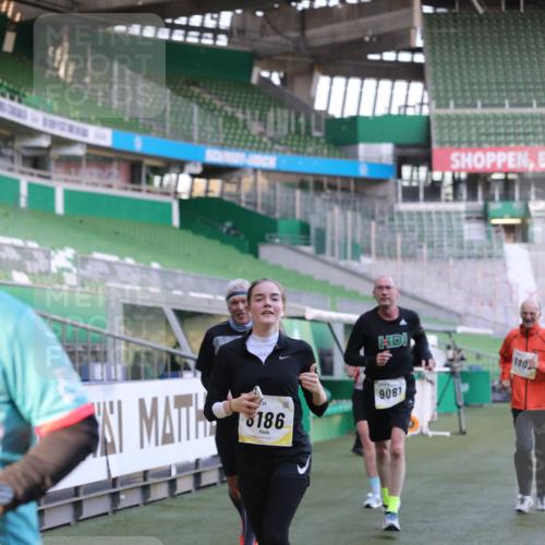 06.10.2024 - 19. swb-Marathon Bremen Yannick Fuchs http://msf.ph/oto/7449131 06.10.2024 10:30:27 Laufen im Stadion 7029, 7053, 7144, 7146, 7176, 7302, 7361, 7412, 7585, 7613, 7620, 7629, 7630, 7698, 7752, 7962, 8036, 8041, 8109, 8186, 8219, 8223, 8290, 8328, 8332, 8333, 8354, 8428, 8440, 8465, 8469, 8477, 8524, 8552, 8622, 8629, 8639, 8748, 8768, 8783, 8794, 8802, 8803, 8834, 8841, 8869, 8897, 8898, 8931, 8933, 9008, 9023, 9065, 9081 meine-sportfotos.de