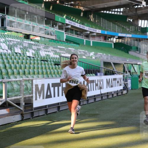 06.10.2024 - 19. swb-Marathon Bremen Yannick Fuchs http://msf.ph/oto/7449202 06.10.2024 10:30:49 Laufen im Stadion 7029, 7046, 7053, 7089, 7144, 7213, 7261, 7302, 7458, 7613, 7698, 7947, 7962, 8023, 8036, 8041, 8058, 8186, 8245, 8354, 8392, 8433, 8437, 8469, 8553, 8586, 8622, 8633, 8674, 8717, 8783, 8802, 8810, 8841, 8892, 8898, 8931, 8960, 8985, 9008, 9035, 9065, 9075, 9081 meine-sportfotos.de