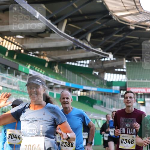 06.10.2024 - 19. swb-Marathon Bremen Yannick Fuchs http://msf.ph/oto/7449331 06.10.2024 10:31:23 Laufen im Stadion 7004, 7044, 7250, 7362, 7439, 7458, 7467, 7546, 7659, 7730, 7785, 7806, 7947, 7990, 8014, 8040, 8058, 8237, 8267, 8268, 8274, 8346, 8388, 8392, 8433, 8437, 8459, 8512, 8520, 8521, 8538, 8553, 8586, 8605, 8614, 8624, 8633, 8634, 8646, 8674, 8676, 8677, 8710, 8717, 8761, 8776, 8807, 8823, 8883, 8892, 8958, 8971, 8998, 9012, 9037, 9075, 9119, 9131 meine-sportfotos.de