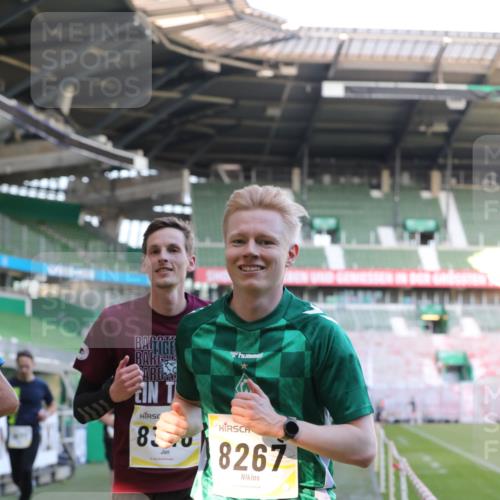 06.10.2024 - 19. swb-Marathon Bremen Yannick Fuchs http://msf.ph/oto/7449333 06.10.2024 10:31:24 Laufen im Stadion 7004, 7044, 7250, 7362, 7439, 7467, 7545, 7546, 7659, 7730, 7785, 7806, 7947, 7990, 8014, 8040, 8058, 8237, 8267, 8268, 8274, 8346, 8388, 8392, 8433, 8437, 8459, 8512, 8520, 8521, 8538, 8553, 8586, 8605, 8614, 8624, 8633, 8634, 8646, 8674, 8676, 8677, 8710, 8717, 8761, 8776, 8807, 8823, 8883, 8892, 8958, 8971, 8998, 9012, 9037, 9075, 9119, 9131 meine-sportfotos.de