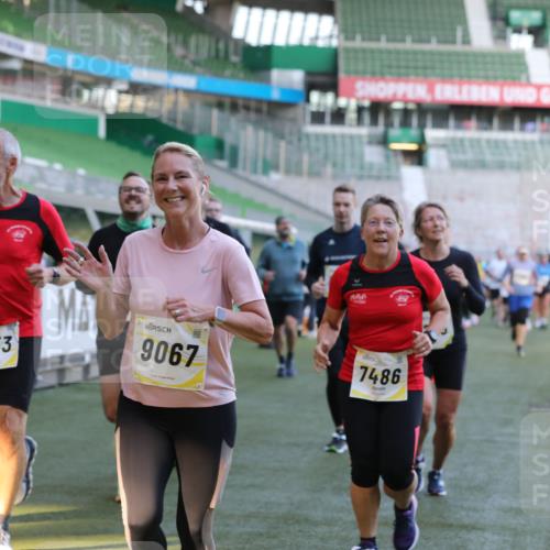 06.10.2024 - 19. swb-Marathon Bremen Yannick Fuchs http://msf.ph/oto/7449416 06.10.2024 10:31:46 Laufen im Stadion 7004, 7005, 7007, 7055, 7090, 7225, 7233, 7380, 7386, 7439, 7467, 7474, 7486, 7493, 7545, 7546, 7575, 7628, 7659, 7730, 7762, 7782, 7794, 7806, 7847, 7850, 7872, 7974, 7990, 8013, 8014, 8040, 8052, 8123, 8233, 8237, 8267, 8304, 8305, 8346, 8388, 8413, 8416, 8418, 8459, 8557, 8605, 8614, 8624, 8676, 8677, 8710, 8744, 8757, 8761, 8769, 8776, 8807, 8874, 8958, 8971, 8998, 9037, 9050, 9067, 9131 meine-sportfotos.de
