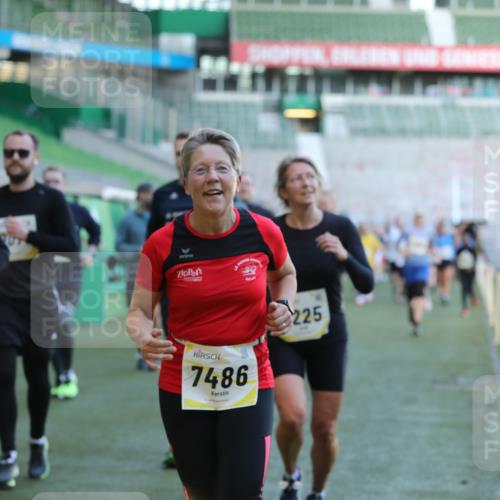 06.10.2024 - 19. swb-Marathon Bremen Yannick Fuchs http://msf.ph/oto/7449421 06.10.2024 10:31:47 Laufen im Stadion 7005, 7007, 7055, 7090, 7225, 7233, 7380, 7386, 7439, 7467, 7474, 7486, 7493, 7545, 7546, 7575, 7628, 7659, 7689, 7730, 7762, 7782, 7794, 7806, 7847, 7850, 7872, 7894, 7974, 7990, 8013, 8014, 8040, 8052, 8123, 8233, 8237, 8267, 8304, 8305, 8346, 8413, 8416, 8418, 8459, 8557, 8576, 8584, 8614, 8624, 8676, 8677, 8710, 8744, 8757, 8761, 8769, 8776, 8807, 8874, 8958, 8971, 8998, 9037, 9050, 9067 meine-sportfotos.de
