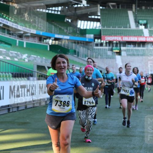 06.10.2024 - 19. swb-Marathon Bremen Yannick Fuchs http://msf.ph/oto/7449555 06.10.2024 10:32:04 Laufen im Stadion 7005, 7007, 7055, 7087, 7090, 7189, 7225, 7233, 7308, 7379, 7380, 7382, 7386, 7415, 7457, 7469, 7474, 7482, 7486, 7493, 7545, 7575, 7600, 7628, 7637, 7689, 7750, 7762, 7782, 7794, 7846, 7847, 7850, 7872, 7894, 7974, 8013, 8052, 8061, 8111, 8112, 8123, 8132, 8161, 8162, 8233, 8276, 8304, 8305, 8322, 8324, 8325, 8339, 8377, 8413, 8416, 8418, 8431, 8459, 8557, 8576, 8584, 8641, 8744, 8756, 8757, 8769, 8772, 8790, 8826, 8840, 8867, 8868, 8874, 8971, 9050, 9067 meine-sportfotos.de