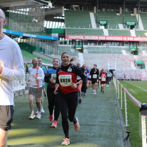 06.10.2024 - 19. swb-Marathon Bremen Yannick Fuchs http://msf.ph/oto/7449618 06.10.2024 10:32:11 Laufen im Stadion 7005, 7007, 7055, 7087, 7090, 7189, 7225, 7233, 7308, 7379, 7380, 7382, 7386, 7415, 7457, 7469, 7474, 7482, 7486, 7493, 7551, 7575, 7600, 7628, 7637, 7689, 7750, 7762, 7782, 7794, 7846, 7847, 7850, 7872, 7894, 7974, 8013, 8052, 8061, 8111, 8112, 8123, 8132, 8161, 8162, 8231, 8233, 8276, 8304, 8305, 8322, 8324, 8325, 8339, 8359, 8377, 8413, 8416, 8418, 8431, 8557, 8576, 8584, 8598, 8616, 8641, 8682, 8683, 8738, 8744, 8756, 8757, 8769, 8772, 8790, 8826, 8840, 8867, 8868, 8874 meine-sportfotos.de