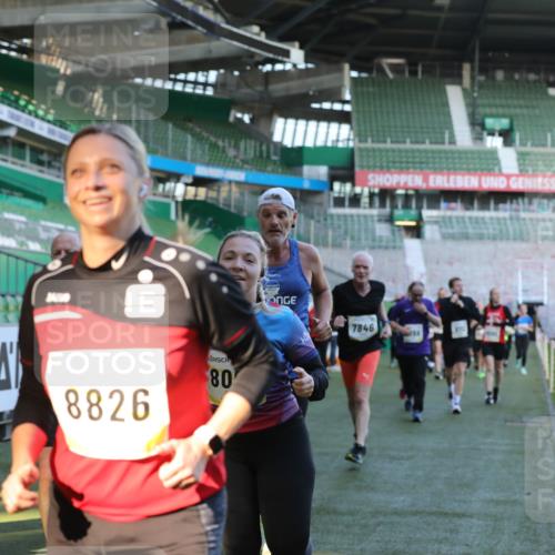 06.10.2024 - 19. swb-Marathon Bremen Yannick Fuchs http://msf.ph/oto/7449640 06.10.2024 10:32:12 Laufen im Stadion 7007, 7055, 7087, 7090, 7179, 7189, 7225, 7308, 7379, 7380, 7382, 7386, 7415, 7457, 7469, 7474, 7482, 7493, 7551, 7575, 7600, 7628, 7637, 7689, 7750, 7762, 7782, 7794, 7846, 7847, 7850, 7872, 7894, 7974, 8013, 8052, 8061, 8111, 8112, 8123, 8132, 8161, 8162, 8231, 8233, 8276, 8304, 8322, 8324, 8325, 8339, 8359, 8377, 8413, 8416, 8418, 8431, 8557, 8576, 8584, 8598, 8616, 8641, 8682, 8683, 8738, 8744, 8756, 8757, 8769, 8772, 8790, 8826, 8840, 8867, 8868, 8874, 9021 meine-sportfotos.de