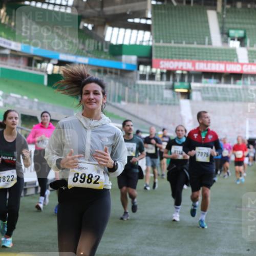 06.10.2024 - 19. swb-Marathon Bremen Yannick Fuchs http://msf.ph/oto/7449832 06.10.2024 10:32:34 Laufen im Stadion 7050, 7087, 7126, 7179, 7189, 7308, 7317, 7375, 7382, 7415, 7425, 7457, 7469, 7477, 7481, 7482, 7499, 7551, 7574, 7600, 7637, 7734, 7735, 7750, 7846, 7865, 7975, 8045, 8111, 8112, 8119, 8132, 8137, 8161, 8162, 8231, 8276, 8317, 8322, 8324, 8325, 8339, 8348, 8359, 8361, 8377, 8431, 8432, 8598, 8616, 8641, 8663, 8682, 8683, 8700, 8738, 8756, 8759, 8772, 8790, 8822, 8840, 8867, 8868, 8934, 9021, 9100, 9108, 9115, 9117, 9130 meine-sportfotos.de