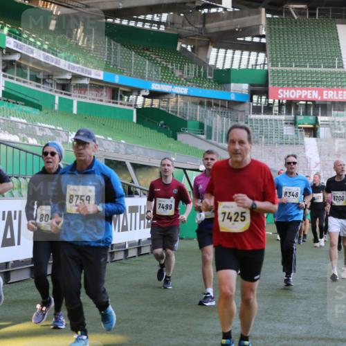 06.10.2024 - 19. swb-Marathon Bremen Yannick Fuchs http://msf.ph/oto/7449893 06.10.2024 10:32:44 Laufen im Stadion 7050, 7126, 7179, 7189, 7308, 7317, 7373, 7375, 7382, 7425, 7442, 7457, 7477, 7481, 7499, 7551, 7574, 7656, 7678, 7734, 7735, 7758, 7849, 7865, 7975, 8020, 8022, 8045, 8048, 8119, 8137, 8161, 8162, 8231, 8314, 8315, 8317, 8322, 8325, 8339, 8348, 8359, 8361, 8377, 8431, 8432, 8479, 8485, 8504, 8598, 8616, 8641, 8663, 8682, 8683, 8686, 8700, 8705, 8724, 8738, 8759, 8822, 8840, 8858, 8867, 8934, 9021, 9100, 9108, 9112, 9115, 9117, 9130 meine-sportfotos.de