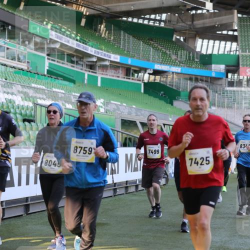 06.10.2024 - 19. swb-Marathon Bremen Yannick Fuchs http://msf.ph/oto/7449897 06.10.2024 10:32:44 Laufen im Stadion 7050, 7126, 7179, 7189, 7308, 7317, 7373, 7375, 7382, 7425, 7442, 7457, 7477, 7481, 7499, 7551, 7574, 7656, 7678, 7734, 7735, 7758, 7849, 7865, 7975, 8020, 8022, 8045, 8048, 8119, 8137, 8161, 8162, 8231, 8314, 8315, 8317, 8322, 8325, 8339, 8348, 8359, 8361, 8377, 8431, 8432, 8479, 8485, 8504, 8598, 8616, 8641, 8663, 8682, 8683, 8686, 8700, 8705, 8724, 8738, 8759, 8822, 8840, 8858, 8867, 8934, 9021, 9100, 9108, 9112, 9115, 9117, 9130 meine-sportfotos.de