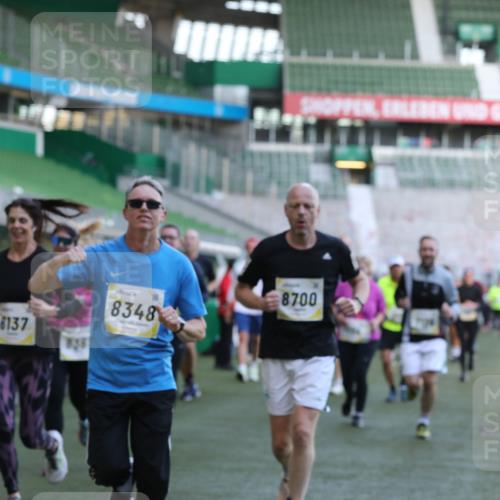 06.10.2024 - 19. swb-Marathon Bremen Yannick Fuchs http://msf.ph/oto/7449919 06.10.2024 10:32:46 Laufen im Stadion 7050, 7126, 7179, 7189, 7317, 7373, 7375, 7382, 7425, 7442, 7477, 7481, 7499, 7551, 7574, 7656, 7678, 7734, 7735, 7758, 7849, 7865, 7975, 8020, 8022, 8045, 8048, 8119, 8137, 8161, 8162, 8231, 8314, 8315, 8317, 8322, 8325, 8339, 8348, 8359, 8361, 8377, 8431, 8432, 8479, 8485, 8504, 8598, 8616, 8641, 8643, 8663, 8682, 8683, 8686, 8700, 8705, 8724, 8738, 8759, 8822, 8858, 8934, 9021, 9100, 9108, 9112, 9115, 9117, 9130 meine-sportfotos.de