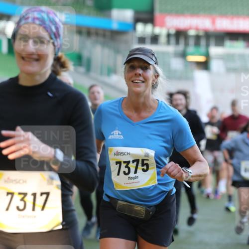 06.10.2024 - 19. swb-Marathon Bremen Yannick Fuchs http://msf.ph/oto/7449980 06.10.2024 10:32:57 Laufen im Stadion 7028, 7049, 7050, 7057, 7108, 7125, 7126, 7179, 7316, 7317, 7354, 7373, 7375, 7425, 7442, 7477, 7481, 7499, 7506, 7574, 7621, 7656, 7678, 7734, 7735, 7751, 7758, 7801, 7849, 7865, 7975, 8020, 8022, 8034, 8045, 8048, 8119, 8137, 8189, 8314, 8315, 8317, 8348, 8361, 8384, 8432, 8479, 8485, 8504, 8540, 8643, 8663, 8686, 8700, 8705, 8724, 8759, 8822, 8852, 8858, 8864, 8934, 9021, 9100, 9108, 9112, 9115, 9117, 9130 meine-sportfotos.de