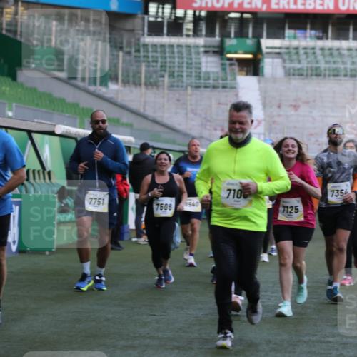 06.10.2024 - 19. swb-Marathon Bremen Yannick Fuchs http://msf.ph/oto/7450075 06.10.2024 10:33:08 Laufen im Stadion 7028, 7049, 7050, 7057, 7108, 7125, 7126, 7316, 7317, 7333, 7354, 7373, 7375, 7442, 7477, 7499, 7506, 7509, 7510, 7574, 7621, 7656, 7678, 7734, 7735, 7751, 7758, 7801, 7849, 7865, 7898, 8020, 8022, 8034, 8048, 8137, 8153, 8189, 8194, 8224, 8241, 8314, 8315, 8348, 8361, 8384, 8432, 8479, 8485, 8504, 8540, 8643, 8663, 8686, 8700, 8705, 8724, 8852, 8858, 8864, 8934, 8986, 9059, 9112, 9114, 9117, 9126 meine-sportfotos.de