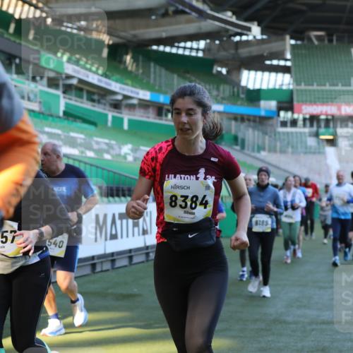 06.10.2024 - 19. swb-Marathon Bremen Yannick Fuchs http://msf.ph/oto/7450134 06.10.2024 10:33:15 Laufen im Stadion 7028, 7049, 7057, 7108, 7125, 7201, 7269, 7316, 7317, 7333, 7354, 7373, 7375, 7442, 7477, 7506, 7509, 7510, 7574, 7621, 7656, 7678, 7734, 7735, 7751, 7758, 7801, 7849, 7898, 8020, 8022, 8034, 8048, 8153, 8189, 8194, 8195, 8224, 8241, 8308, 8314, 8315, 8384, 8451, 8479, 8485, 8504, 8540, 8611, 8643, 8653, 8663, 8686, 8705, 8724, 8852, 8858, 8864, 8934, 8986, 9041, 9053, 9059, 9112, 9114, 9117, 9126 meine-sportfotos.de