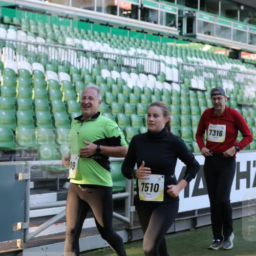 06.10.2024 - 19. swb-Marathon Bremen Yannick Fuchs http://msf.ph/oto/7450223 06.10.2024 10:33:29 Laufen im Stadion 7028, 7049, 7057, 7076, 7108, 7123, 7125, 7201, 7202, 7203, 7269, 7282, 7316, 7330, 7332, 7333, 7354, 7506, 7509, 7510, 7577, 7608, 7621, 7663, 7751, 7758, 7801, 7855, 7867, 7869, 7898, 7997, 8034, 8153, 8189, 8194, 8195, 8224, 8241, 8263, 8269, 8308, 8384, 8451, 8504, 8534, 8540, 8611, 8643, 8653, 8798, 8852, 8864, 8986, 9003, 9041, 9053, 9059, 9072, 9073, 9114, 9126 meine-sportfotos.de