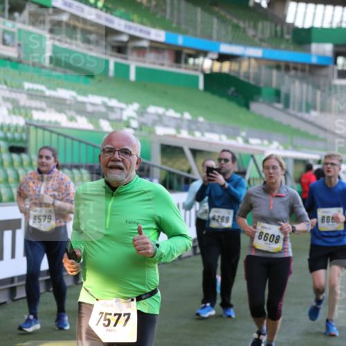 06.10.2024 - 19. swb-Marathon Bremen Yannick Fuchs http://msf.ph/oto/7450302 06.10.2024 10:33:52 Laufen im Stadion 7040, 7076, 7122, 7123, 7130, 7201, 7202, 7203, 7227, 7264, 7269, 7282, 7330, 7332, 7358, 7404, 7418, 7577, 7608, 7663, 7693, 7718, 7723, 7811, 7832, 7848, 7855, 7867, 7869, 7886, 7935, 7997, 8033, 8113, 8178, 8179, 8190, 8195, 8197, 8208, 8235, 8236, 8263, 8269, 8293, 8308, 8326, 8382, 8399, 8414, 8415, 8435, 8451, 8463, 8534, 8546, 8579, 8607, 8608, 8611, 8612, 8640, 8653, 8694, 8798, 9003, 9041, 9053, 9072, 9073 meine-sportfotos.de