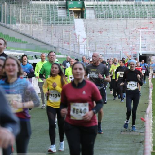 06.10.2024 - 19. swb-Marathon Bremen Yannick Fuchs http://msf.ph/oto/7450346 06.10.2024 10:33:59 Laufen im Stadion 7040, 7076, 7122, 7123, 7130, 7201, 7202, 7203, 7227, 7264, 7282, 7330, 7332, 7358, 7395, 7404, 7418, 7577, 7608, 7663, 7693, 7718, 7723, 7811, 7832, 7848, 7855, 7867, 7869, 7886, 7929, 7935, 7987, 7997, 8005, 8006, 8017, 8033, 8107, 8113, 8178, 8179, 8190, 8195, 8197, 8208, 8229, 8235, 8236, 8263, 8269, 8293, 8326, 8338, 8382, 8398, 8399, 8414, 8415, 8435, 8463, 8534, 8546, 8572, 8579, 8607, 8608, 8611, 8612, 8640, 8644, 8653, 8694, 8798, 9003, 9053, 9072, 9073 meine-sportfotos.de
