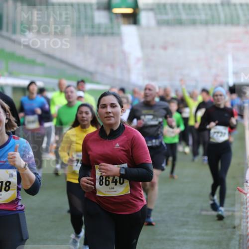 06.10.2024 - 19. swb-Marathon Bremen Yannick Fuchs http://msf.ph/oto/7450349 06.10.2024 10:34:00 Laufen im Stadion 7040, 7076, 7122, 7123, 7130, 7201, 7202, 7203, 7227, 7264, 7282, 7330, 7332, 7358, 7395, 7404, 7418, 7577, 7608, 7663, 7693, 7718, 7723, 7811, 7832, 7848, 7855, 7867, 7869, 7886, 7929, 7935, 7987, 7997, 8005, 8006, 8017, 8033, 8107, 8113, 8178, 8179, 8190, 8197, 8208, 8229, 8235, 8236, 8263, 8269, 8293, 8326, 8338, 8382, 8398, 8399, 8414, 8415, 8435, 8463, 8534, 8546, 8550, 8572, 8579, 8607, 8608, 8612, 8640, 8644, 8653, 8694, 8798, 9003, 9072, 9073 meine-sportfotos.de