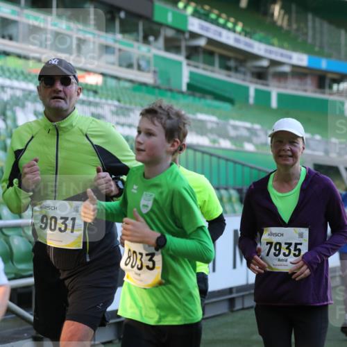 06.10.2024 - 19. swb-Marathon Bremen Yannick Fuchs http://msf.ph/oto/7450369 06.10.2024 10:34:08 Laufen im Stadion 7040, 7048, 7076, 7122, 7123, 7130, 7202, 7203, 7221, 7223, 7227, 7255, 7264, 7282, 7330, 7332, 7358, 7383, 7395, 7404, 7418, 7532, 7577, 7693, 7718, 7723, 7745, 7775, 7811, 7832, 7844, 7848, 7855, 7886, 7909, 7910, 7929, 7935, 7971, 7987, 8005, 8006, 8017, 8027, 8033, 8107, 8113, 8178, 8179, 8190, 8197, 8203, 8208, 8229, 8235, 8236, 8263, 8269, 8270, 8283, 8293, 8326, 8338, 8382, 8398, 8399, 8414, 8415, 8435, 8463, 8546, 8550, 8572, 8579, 8607, 8608, 8612, 8640, 8644, 8694 meine-sportfotos.de