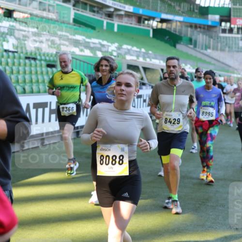 06.10.2024 - 19. swb-Marathon Bremen Yannick Fuchs http://msf.ph/oto/7450450 06.10.2024 10:35:09 Laufen im Stadion 7034, 7035, 7042, 7138, 7155, 7156, 7162, 7204, 7226, 7251, 7258, 7266, 7295, 7307, 7321, 7335, 7413, 7443, 7468, 7478, 7479, 7490, 7502, 7587, 7644, 7679, 7680, 7690, 7699, 7757, 7772, 7773, 7829, 7830, 7863, 7864, 7899, 7900, 7902, 7923, 7926, 7932, 7954, 7955, 7981, 8073, 8074, 8088, 8118, 8144, 8152, 8183, 8225, 8246, 8366, 8370, 8378, 8409, 8410, 8429, 8449, 8450, 8472, 8494, 8495, 8496, 8506, 8509, 8539, 8541, 8542, 8588, 8589, 8698, 8760, 8799, 8839, 8848, 8871 meine-sportfotos.de