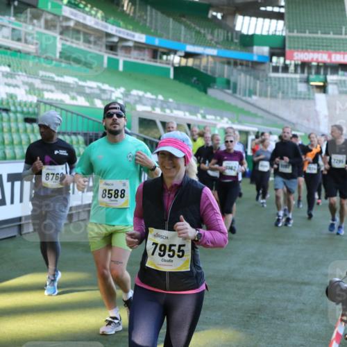 06.10.2024 - 19. swb-Marathon Bremen Yannick Fuchs http://msf.ph/oto/7450478 06.10.2024 10:35:12 Laufen im Stadion 7034, 7035, 7042, 7138, 7155, 7162, 7204, 7226, 7251, 7258, 7266, 7295, 7321, 7335, 7413, 7443, 7468, 7478, 7479, 7490, 7502, 7587, 7644, 7679, 7680, 7690, 7699, 7757, 7772, 7773, 7829, 7830, 7863, 7864, 7899, 7900, 7902, 7923, 7926, 7932, 7954, 7955, 7981, 8073, 8074, 8088, 8118, 8144, 8152, 8183, 8225, 8246, 8366, 8370, 8378, 8409, 8410, 8429, 8449, 8450, 8472, 8494, 8495, 8496, 8506, 8509, 8539, 8541, 8542, 8588, 8589, 8698, 8760, 8799, 8839, 8848, 8871 meine-sportfotos.de