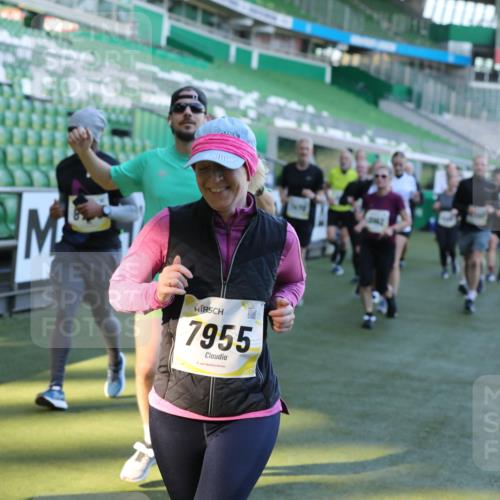 06.10.2024 - 19. swb-Marathon Bremen Yannick Fuchs http://msf.ph/oto/7450484 06.10.2024 10:35:13 Laufen im Stadion 7034, 7035, 7042, 7138, 7155, 7162, 7204, 7226, 7251, 7258, 7266, 7295, 7321, 7335, 7413, 7443, 7468, 7478, 7479, 7490, 7502, 7587, 7644, 7679, 7680, 7690, 7699, 7757, 7772, 7773, 7829, 7830, 7863, 7864, 7899, 7900, 7902, 7923, 7926, 7932, 7954, 7955, 7981, 8073, 8074, 8088, 8118, 8121, 8144, 8152, 8183, 8225, 8246, 8366, 8370, 8378, 8409, 8410, 8429, 8449, 8450, 8472, 8494, 8495, 8496, 8506, 8509, 8539, 8541, 8542, 8588, 8589, 8595, 8698, 8760, 8799, 8848, 8871 meine-sportfotos.de