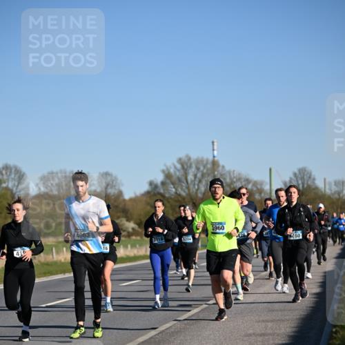06.04.2025 - 44. Internationalen Wilhelmsburger Insellauf Dr. Thomas Lammeyer http://msf.ph/oto/7554847 06.04.2025 09:30:15 Laufen 41, 4063, 18, 3918, 5204, 3960, 429, 4480 meine-sportfotos.de