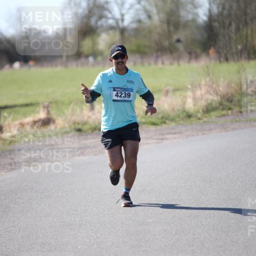 06.04.2025 - 44. Internationalen Wilhelmsburger Insellauf Jannik Wohlers http://msf.ph/oto/7598348 06.04.2025 10:38:11 Laufen 4239, 3502 meine-sportfotos.de