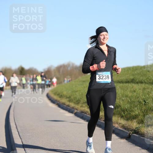 06.04.2025 - 44. Internationalen Wilhelmsburger Insellauf Jannik Wohlers http://msf.ph/oto/7616326 06.04.2025 09:37:40 Laufen 3239 meine-sportfotos.de