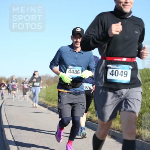 06.04.2025 - 44. Internationalen Wilhelmsburger Insellauf Jannik Wohlers http://msf.ph/oto/7617261 06.04.2025 09:41:53 Laufen 4486, 070, 4049 meine-sportfotos.de