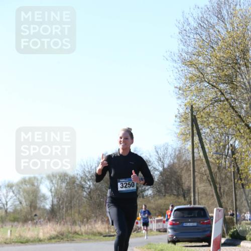 06.04.2025 - 44. Internationalen Wilhelmsburger Insellauf Jannik Wohlers http://msf.ph/oto/7621265 06.04.2025 10:11:34 Laufen 3250, 431, 4323 meine-sportfotos.de