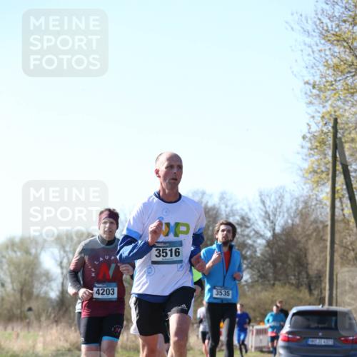 06.04.2025 - 44. Internationalen Wilhelmsburger Insellauf Jannik Wohlers http://msf.ph/oto/7621316 06.04.2025 10:12:10 Laufen 4203, 3516, 3535 meine-sportfotos.de