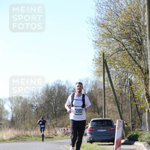 06.04.2025 - 44. Internationalen Wilhelmsburger Insellauf Jannik Wohlers http://msf.ph/oto/7621460 06.04.2025 10:12:52 Laufen 4250, 31, 4321 meine-sportfotos.de