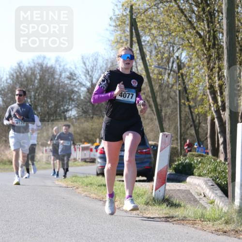 06.04.2025 - 44. Internationalen Wilhelmsburger Insellauf Jannik Wohlers http://msf.ph/oto/7622316 06.04.2025 10:20:12 Laufen 4129, 4077 meine-sportfotos.de