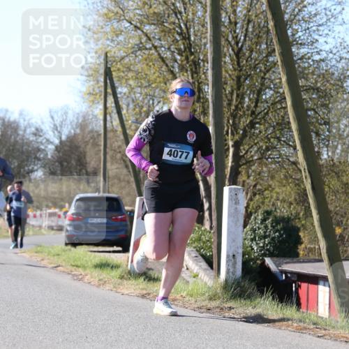 06.04.2025 - 44. Internationalen Wilhelmsburger Insellauf Jannik Wohlers http://msf.ph/oto/7622321 06.04.2025 10:20:13 Laufen 4077 meine-sportfotos.de