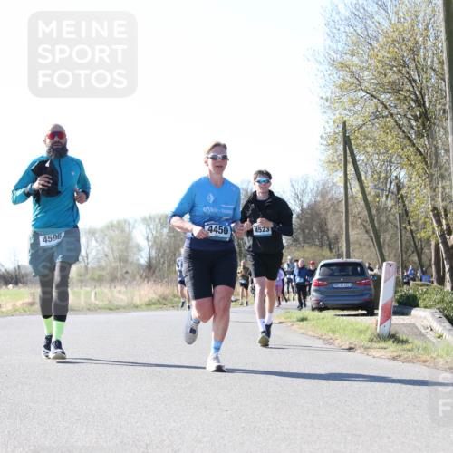 06.04.2025 - 44. Internationalen Wilhelmsburger Insellauf Jannik Wohlers http://msf.ph/oto/7623763 06.04.2025 10:30:23 Laufen 4596, 4450, 4523, 31, 4321 meine-sportfotos.de