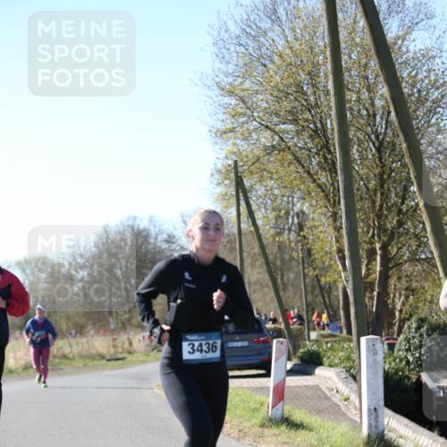 06.04.2025 - 44. Internationalen Wilhelmsburger Insellauf Jannik Wohlers http://msf.ph/oto/7624080 06.04.2025 10:32:55 Laufen 3436, 15 meine-sportfotos.de