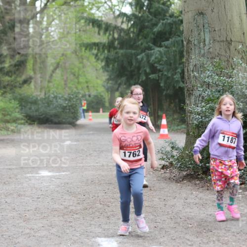 13.04.2025 - Hammer Lauf Jannik Wohlers http://msf.ph/oto/7625959 13.04.2025 08:23:39 Laufen 472, 104, 1762, 15, 1187 meine-sportfotos.de