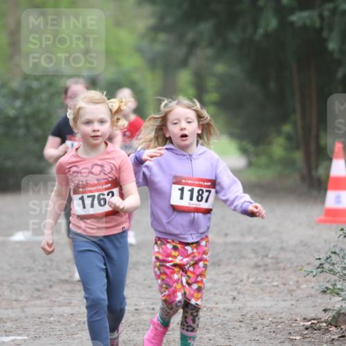 13.04.2025 - Hammer Lauf Jannik Wohlers http://msf.ph/oto/7625968 13.04.2025 08:23:37 Laufen 15, 1762, 15, 1187 meine-sportfotos.de