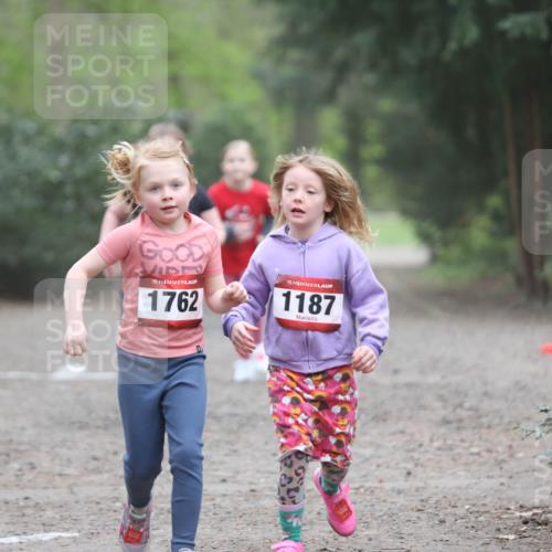 13.04.2025 - Hammer Lauf Jannik Wohlers http://msf.ph/oto/7625970 13.04.2025 08:23:37 Laufen 15, 1762, 15, 1187 meine-sportfotos.de
