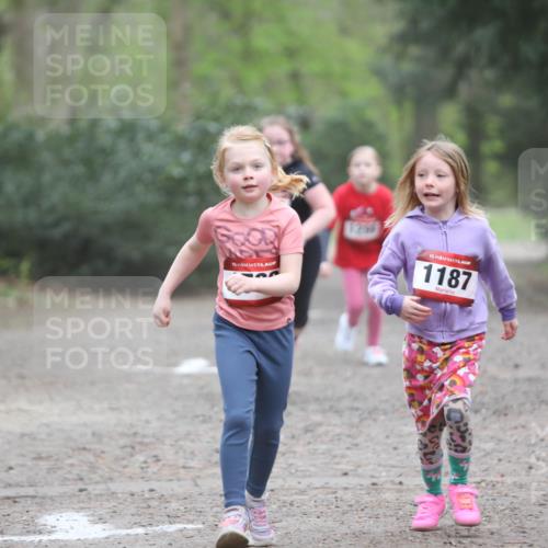 13.04.2025 - Hammer Lauf Jannik Wohlers http://msf.ph/oto/7625971 13.04.2025 08:23:36 Laufen 15, 1269, 15, 1187 meine-sportfotos.de